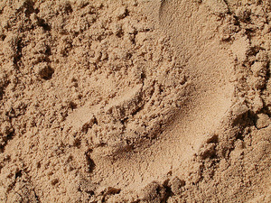 Песок в составе бетона для заливки фундамента дома